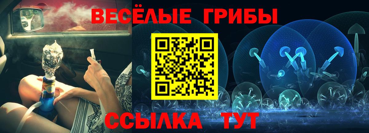 Псилоцибиновые грибы прущие грибы  Вход с VPN  Коркино  сколько стоит  Галлюциногенные грибы мухоморы 